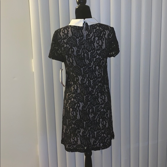 Betsey Johnson Collared Lace Shift Dress - Picture 8 of 9